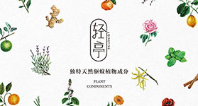 ��������Ƽ�����������װ