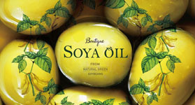 ��Ȼ������������