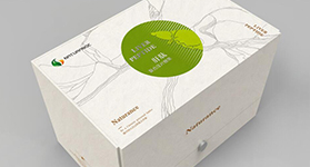 ����Ȼ����Ƽ�ϵ�а�װ