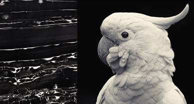 ������ʯ����