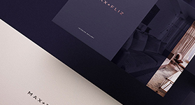 Max-Fliz����